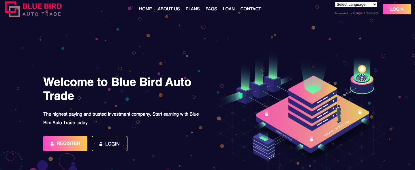 Blue Bird Auto Trade Review